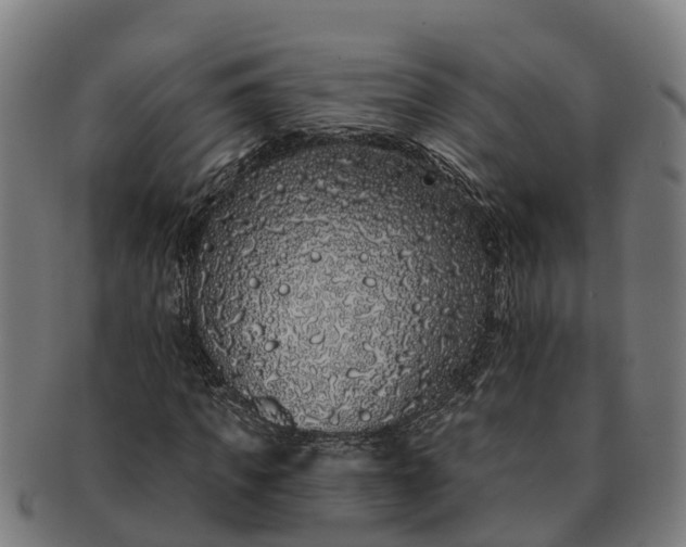 X0000091330917200708241157