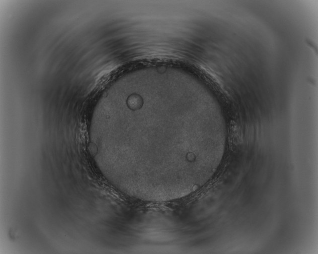 X0000091330918200708241157