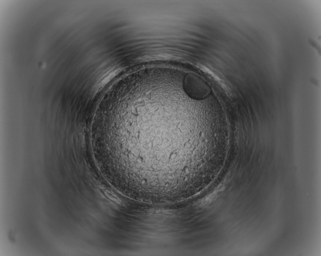 X0000091330921200708241157