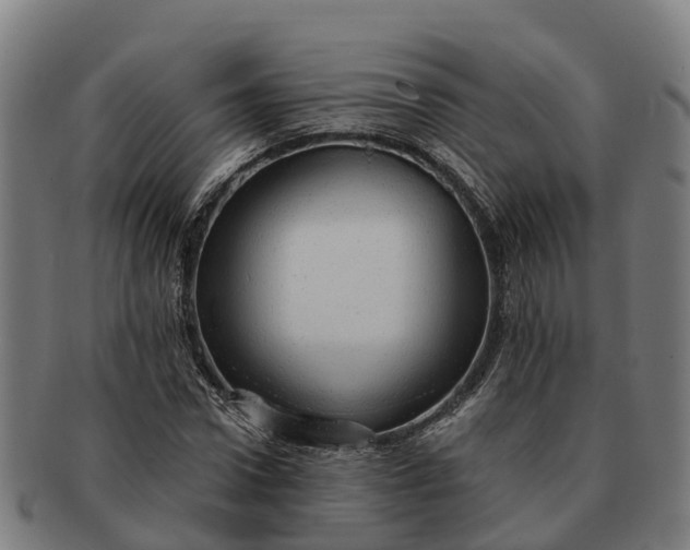 X0000091330922200708241157