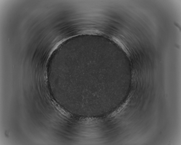 X0000091330923200708241157