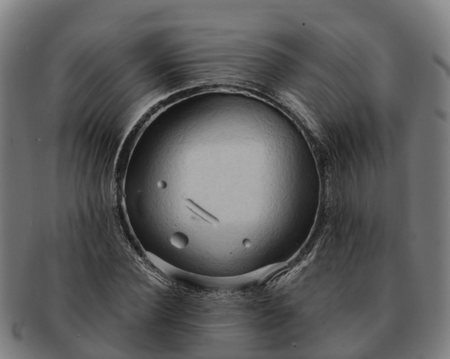 X0000091330924200708241157