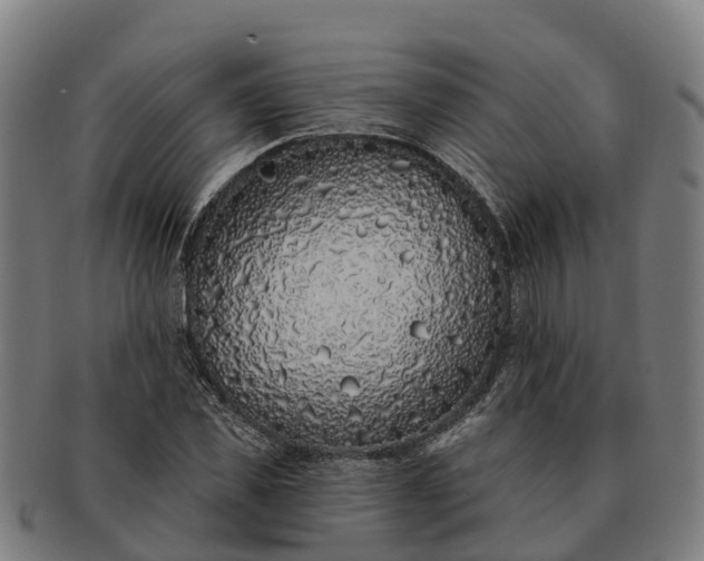 X0000091330925200708241157