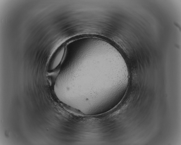 X0000091330926200708241157