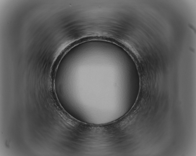 X0000091330927200708241157