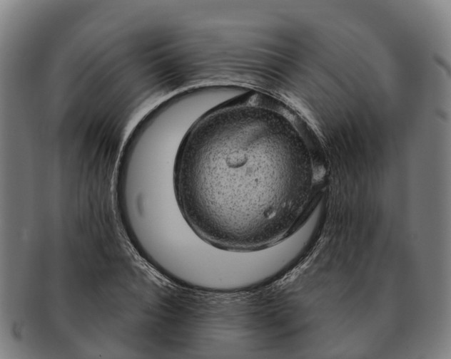 X0000091330928200708241157