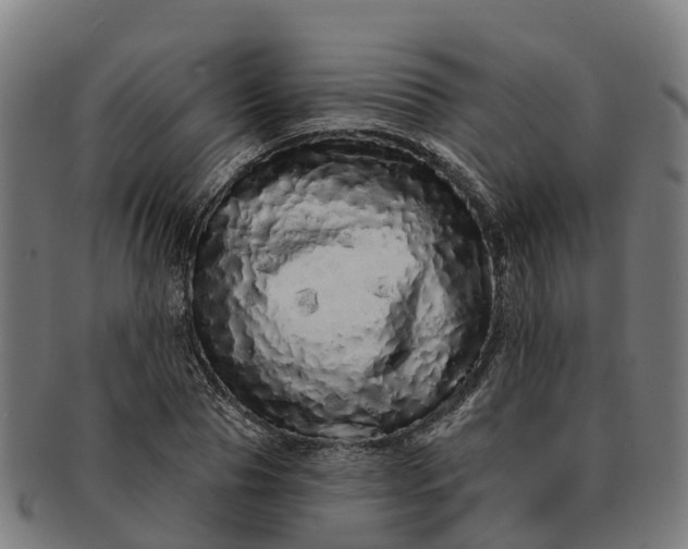 X0000091330929200708241157