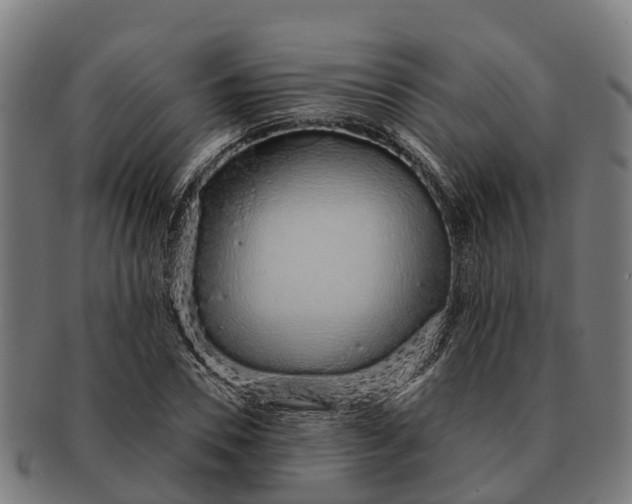 X0000091330930200708241157