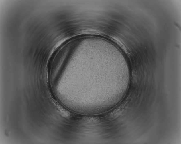 X0000091330931200708241157