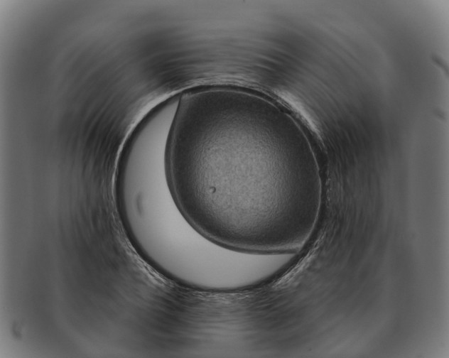 X0000091330932200708241157