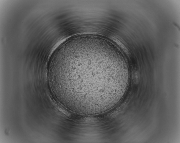 X0000091330933200708241157