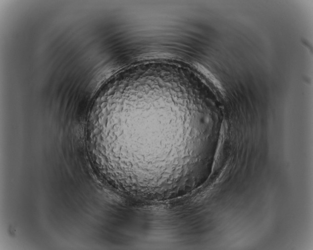 X0000091330937200708241157