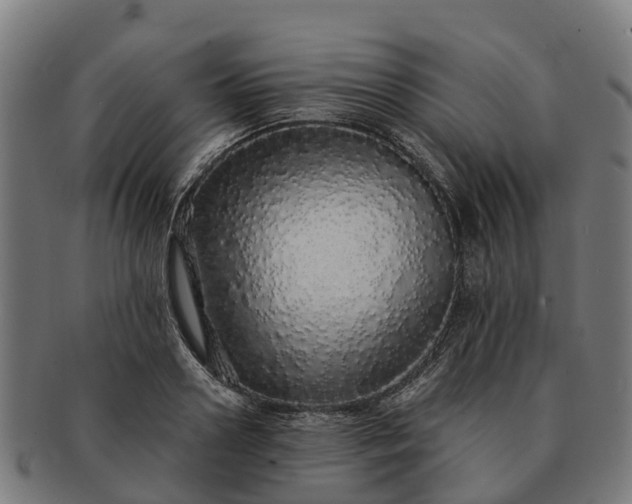 X0000091330938200708241157