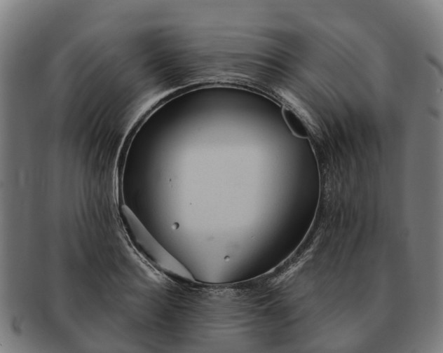 X0000091330940200708241157