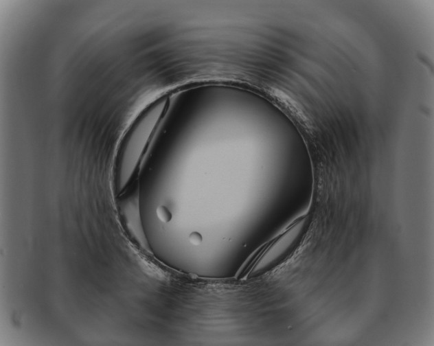 X0000091330942200708241157