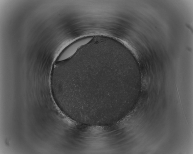 X0000091330943200708241157