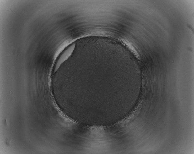 X0000091330944200708241157