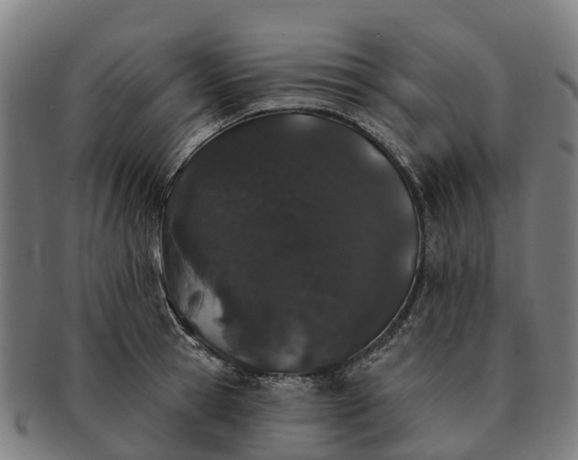 X0000091330945200708241157