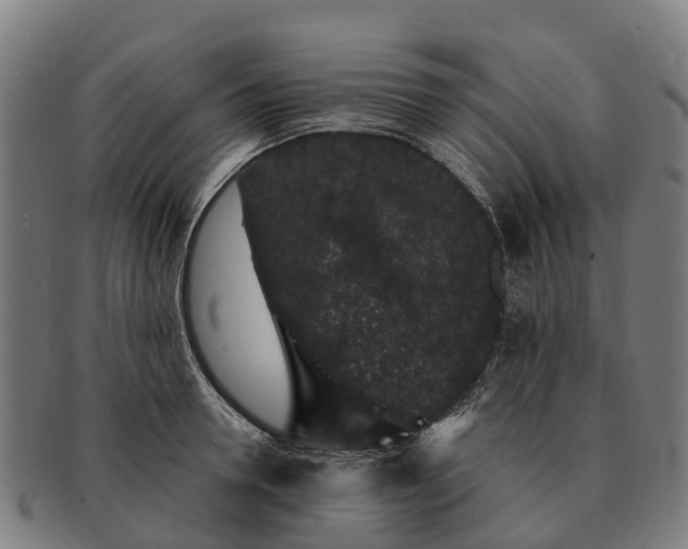 X0000091330946200708241157