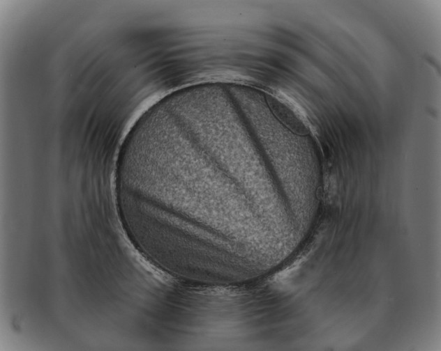 X0000091330947200708241157