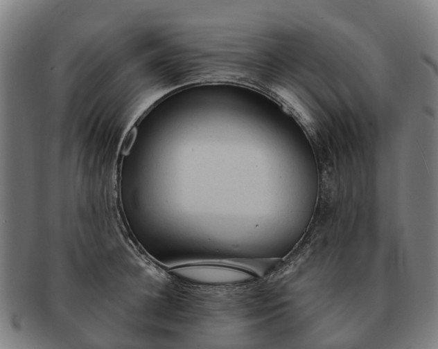 X0000091330948200708241157