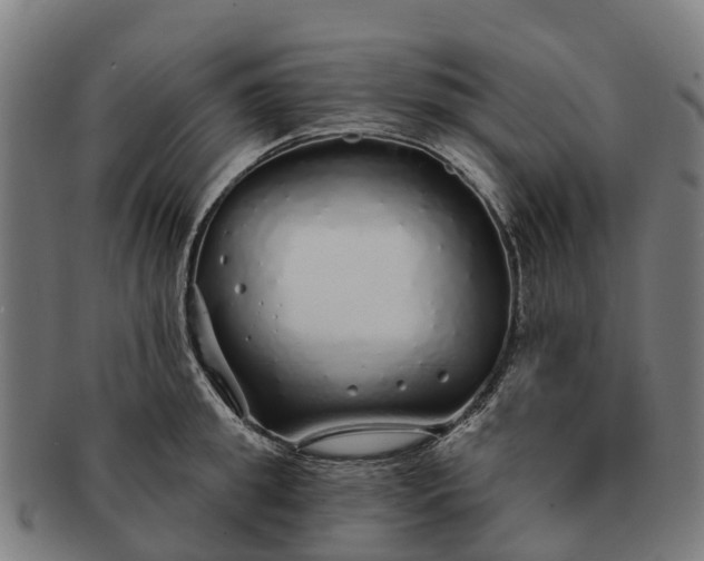 X0000091330949200708241157