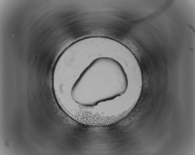 X0000091330950200708241157