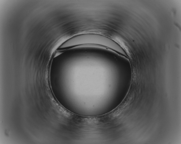 X0000091330952200708241157