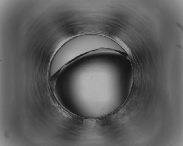 X0000091330956200708241157