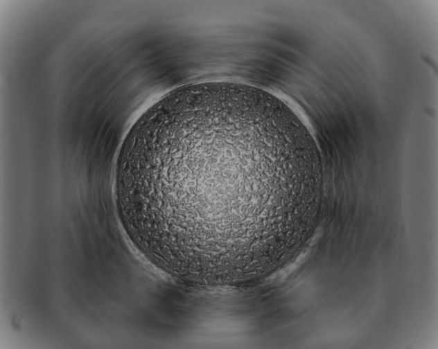 X0000091330957200708241157