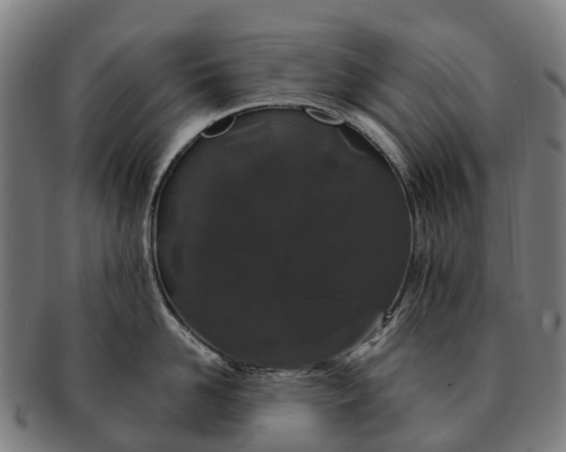 X0000091330958200708241157