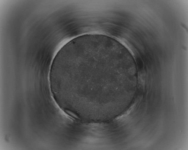 X0000091330959200708241157