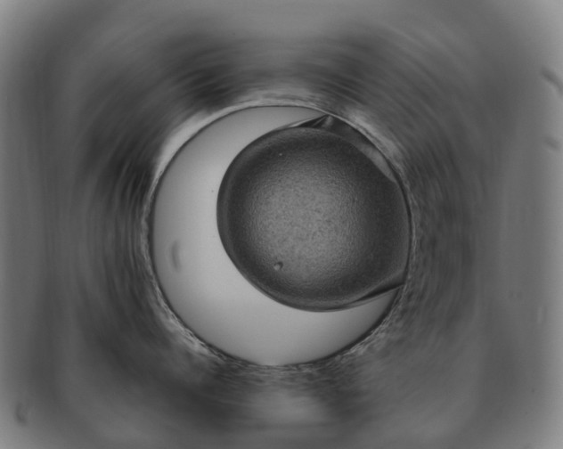 X0000091330960200708241157