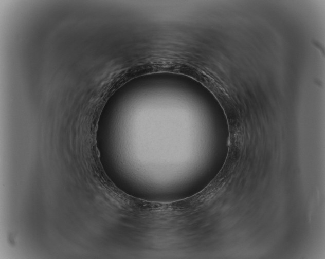 X0000091330961200708241157