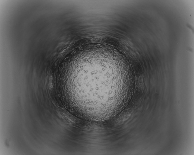 X0000091330962200708241157