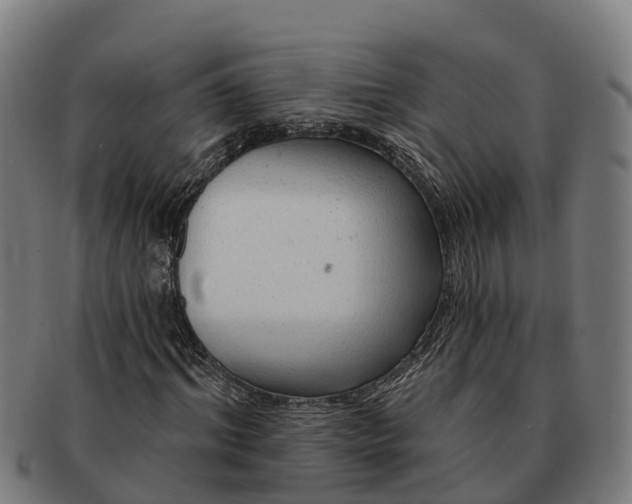 X0000091330964200708241156