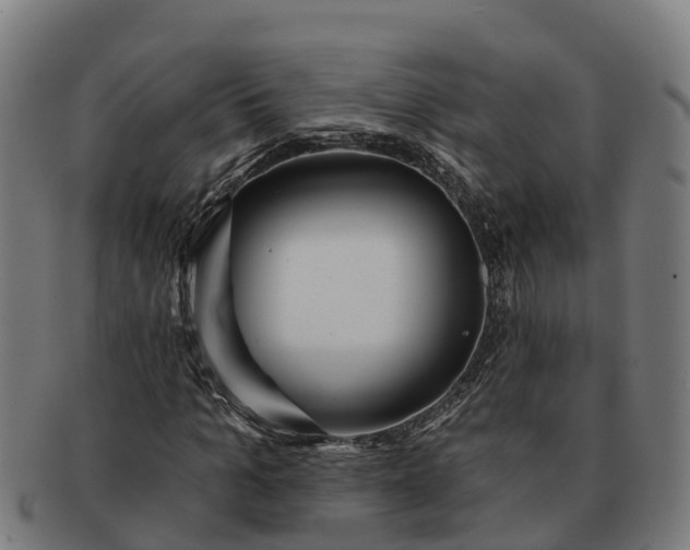 X0000091330965200708241156