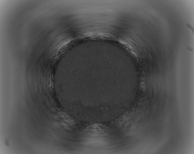 X0000091330966200708241156