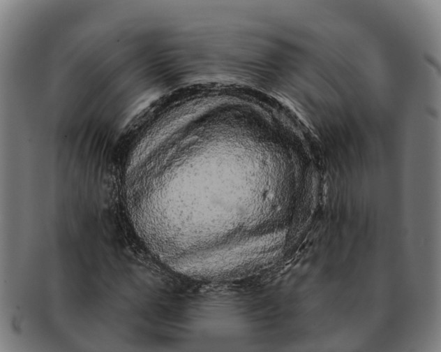 X0000091330967200708241156