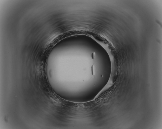 X0000091330968200708241156