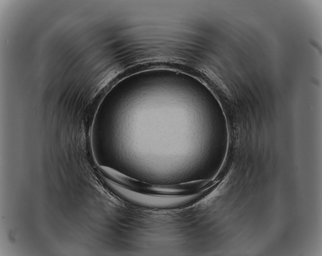 X0000091330969200708241156