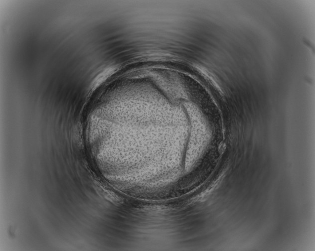 X0000091330970200708241156