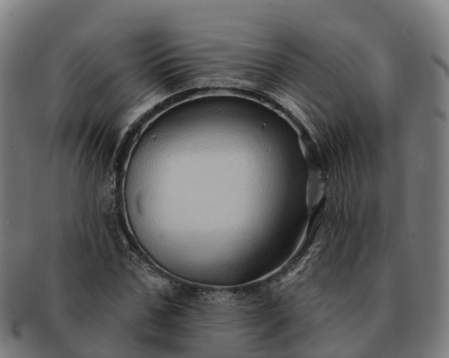 X0000091330971200708241156