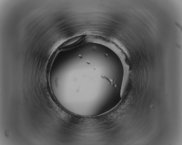 X0000091330972200708241156