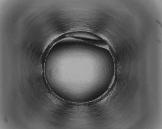 X0000091330973200708241156