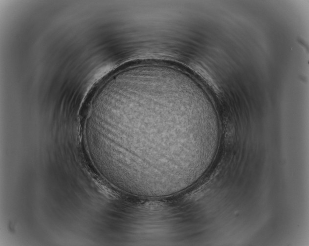 X0000091330974200708241156