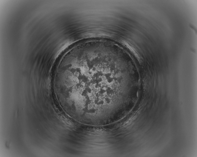 X0000091330975200708241156