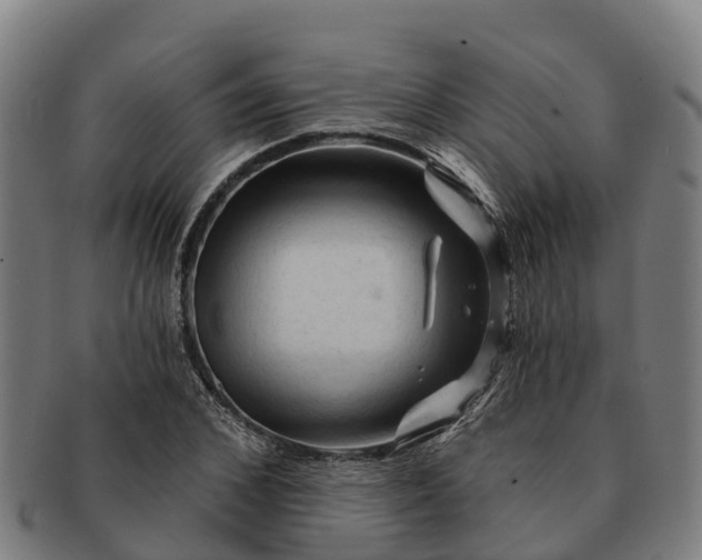 X0000091330976200708241156