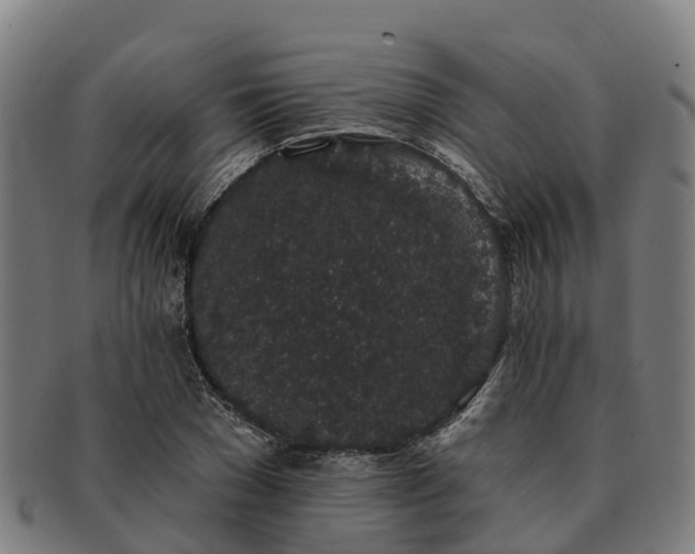 X0000091330977200708241156