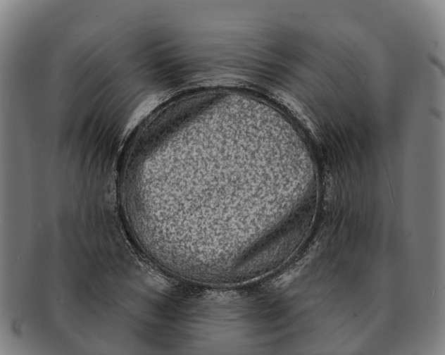 X0000091330978200708241156